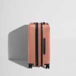 The Bigger Carry-On Flex in Clay Pink