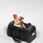 The Pet Carrier