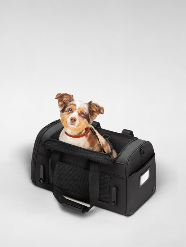 The Pet Carrier - Image 2