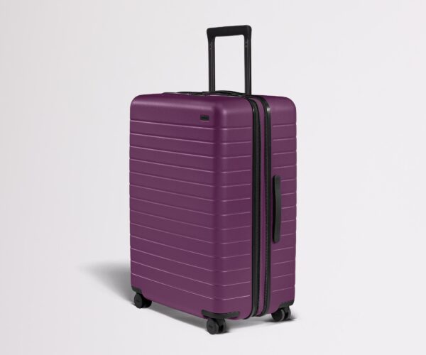 The Large Flex - Image 13