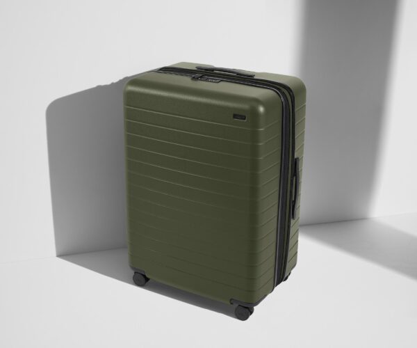 The Large Flex - Image 4